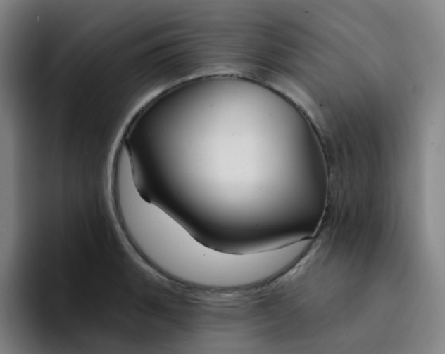 X0000094231135200711161904