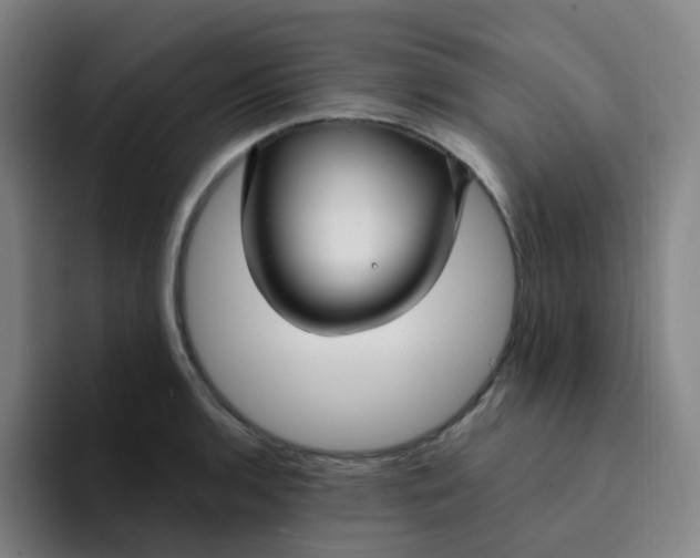 X0000094231136200711161904