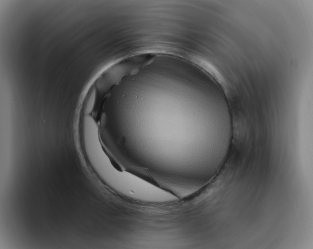 X0000094231138200711161904