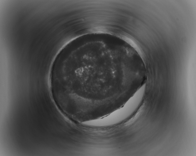 X0000094231141200711161904