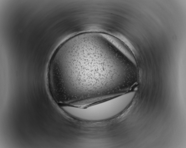 X0000094231142200711161904