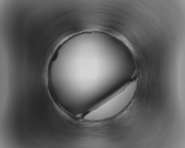 X0000094231143200711161904