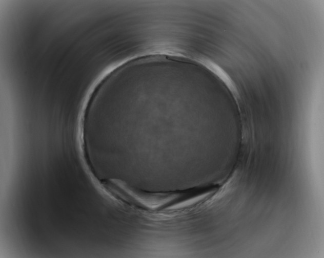 X0000094231144200711161904