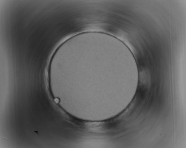 X0000094231150200711161904