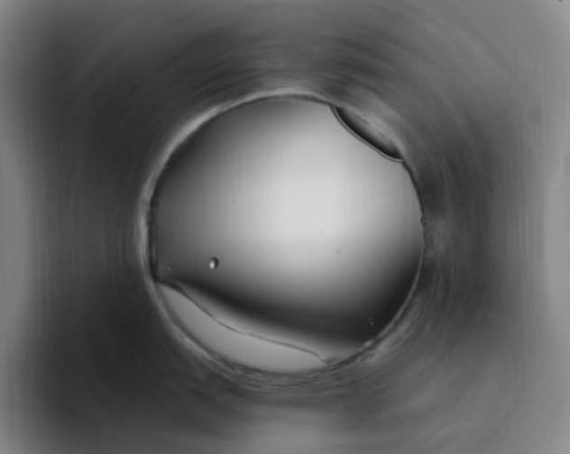 X0000094231151200711161904