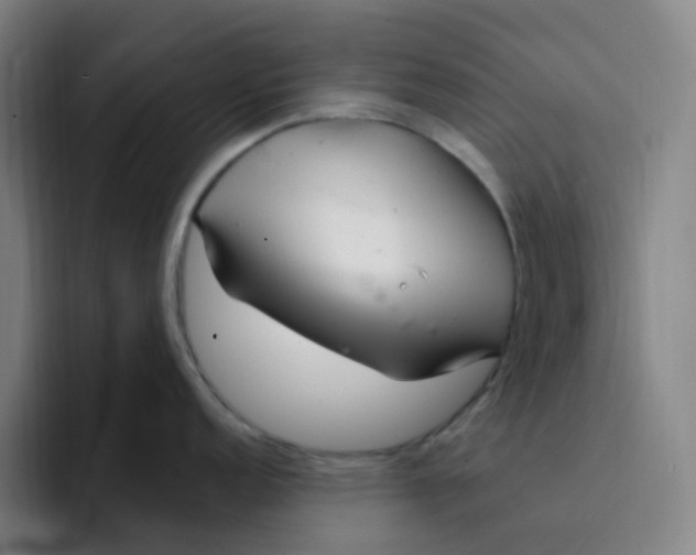 X0000094231152200711161904