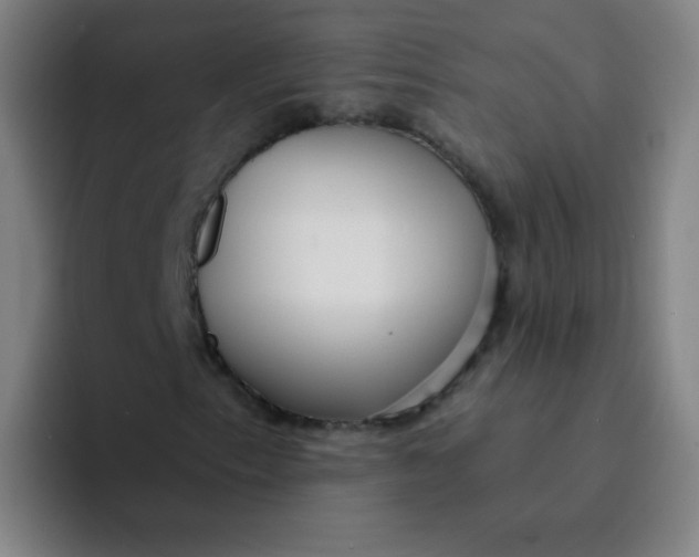 X0000094231153200711161903