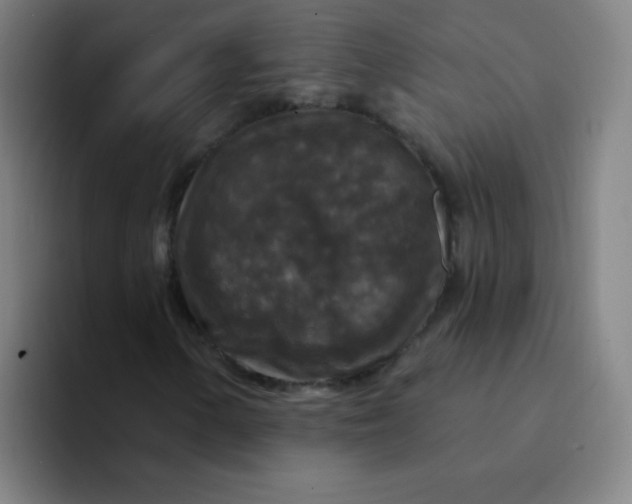 X0000094231154200711161903