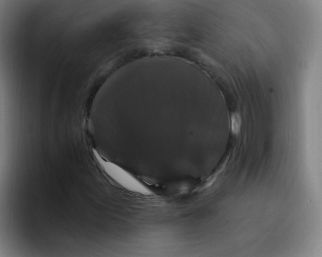 X0000094231155200711161903