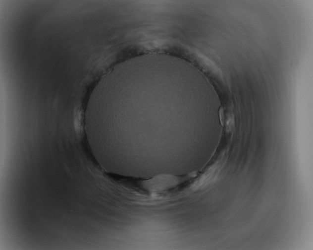 X0000094231156200711161903