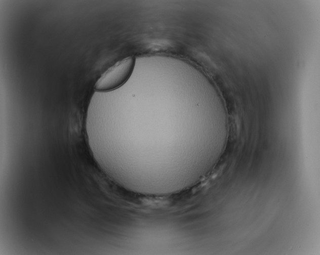 X0000094231158200711161903