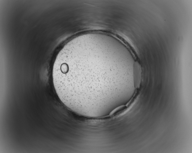 X0000094231163200711161903