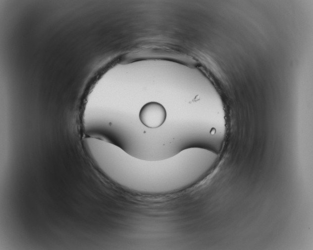 X0000094231164200711161903