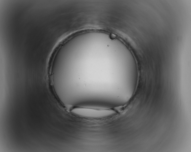 X0000094231168200711161903