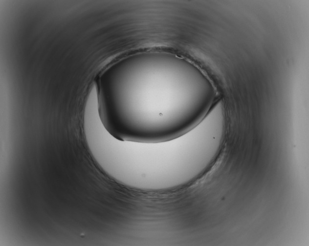 X0000094231169200711161903