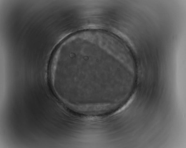 X0000094231170200711161903