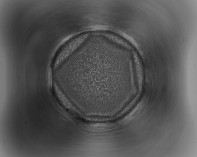 X0000094231171200711161903