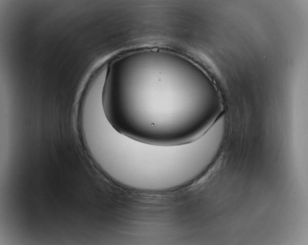 X0000094231172200711161903