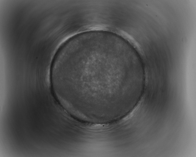 X0000094231174200711161903