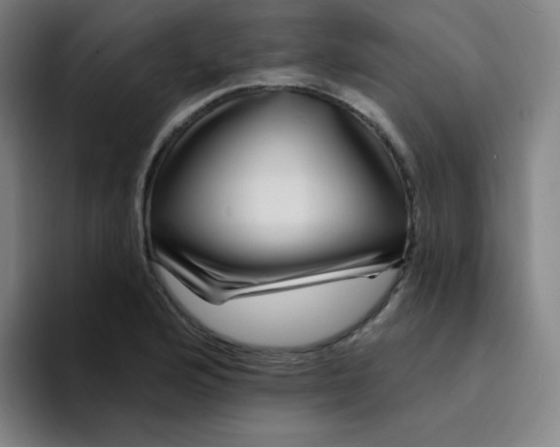 X0000094231176200711161903