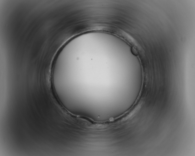 X0000094231178200711161903