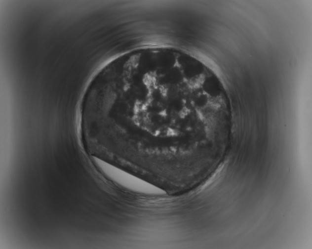 X0000094231179200711161903