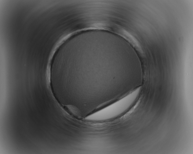 X0000094231180200711161903