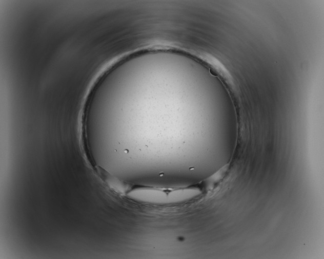 X0000094231183200711161903