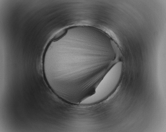 X0000094231184200711161903