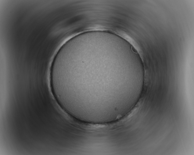 X0000094231187200711161903