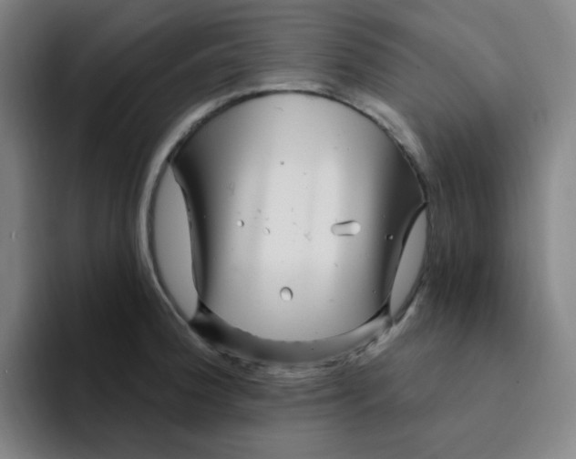 X0000094231188200711161903