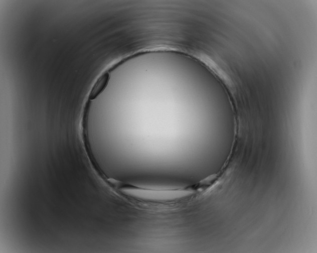 X0000094231189200711161903