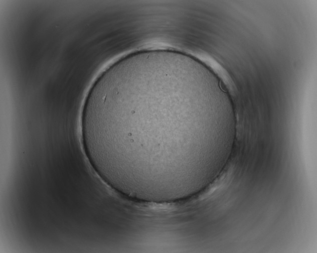 X0000094231191200711161903