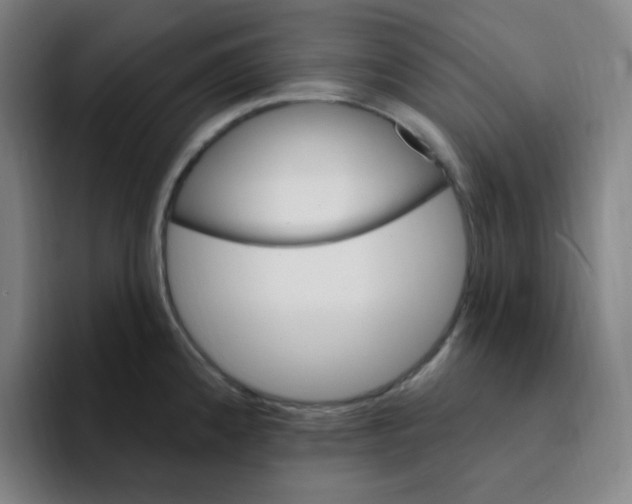 X0000094231192200711161903