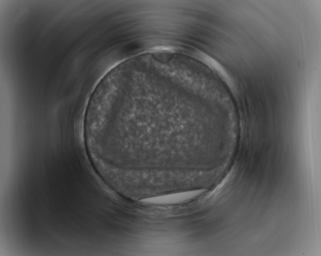 X0000094231194200711161903