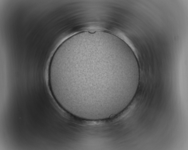 X0000094231195200711161903