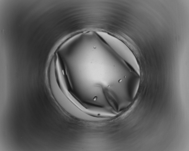 X0000094231196200711161903