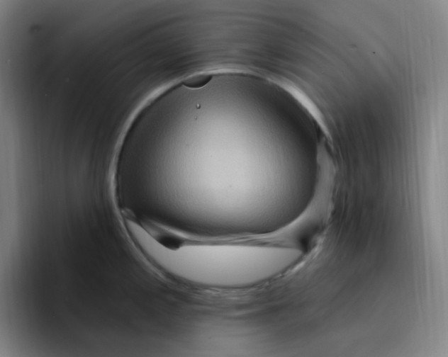 X0000094231197200711161903