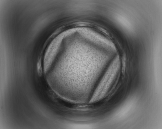 X0000094231198200711161903