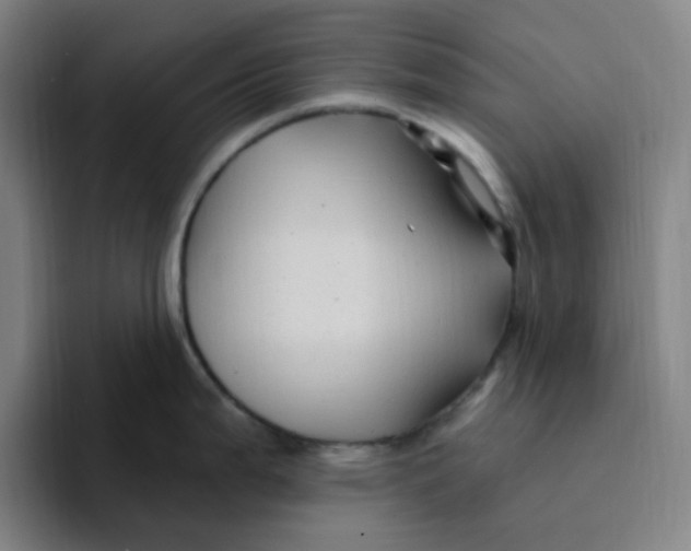 X0000094231199200711161903