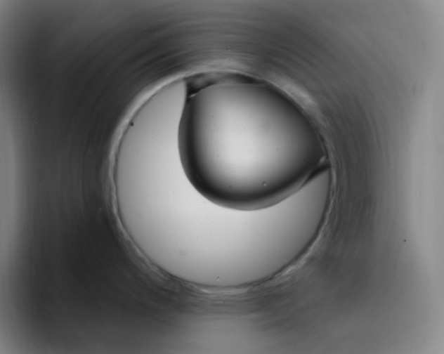 X0000094231200200711161903