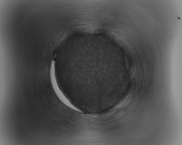 X0000094231202200711161902