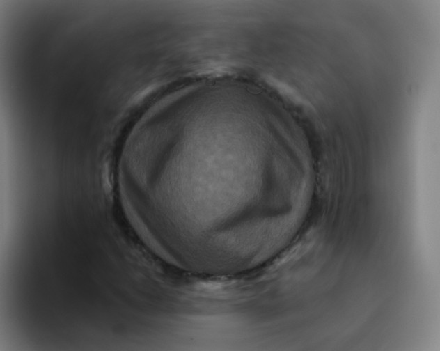 X0000094231206200711161902