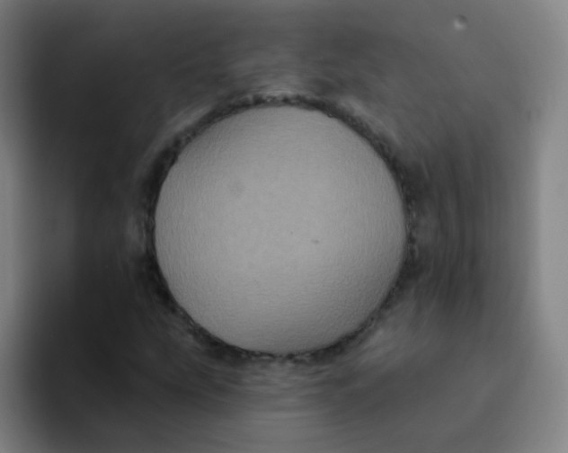 X0000094231207200711161902