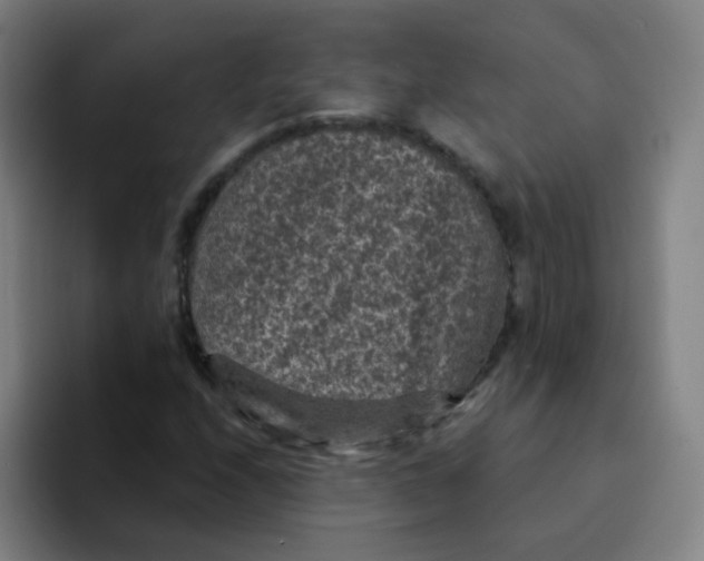 X0000094231208200711161902