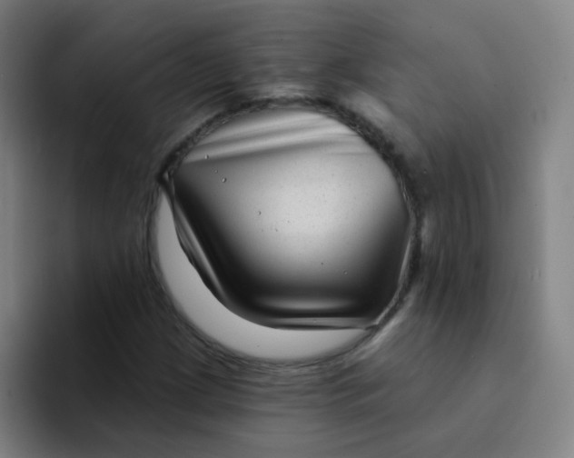 X0000094231209200711161902