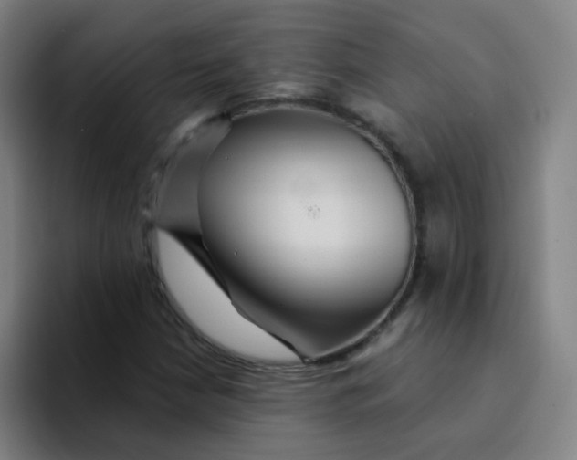 X0000094231210200711161902