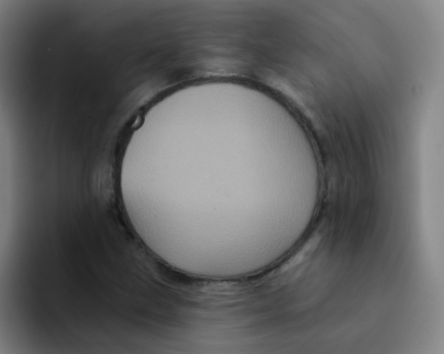 X0000094231211200711161902