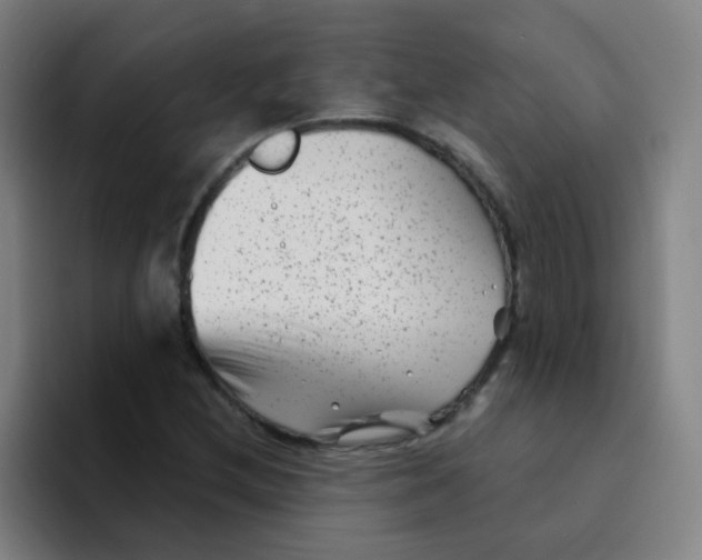 X0000094231212200711161902