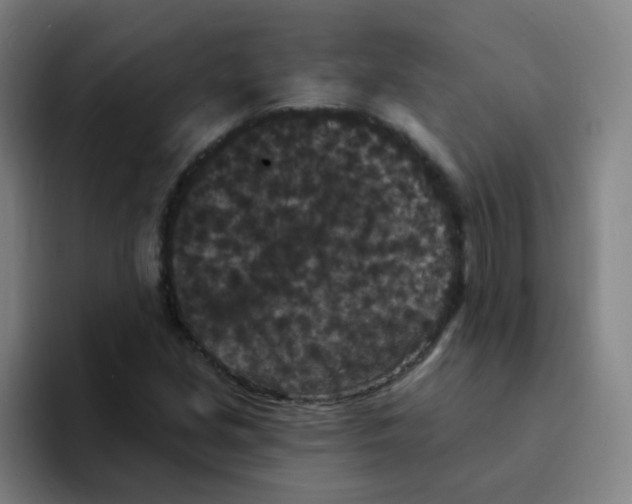 X0000094231213200711161902